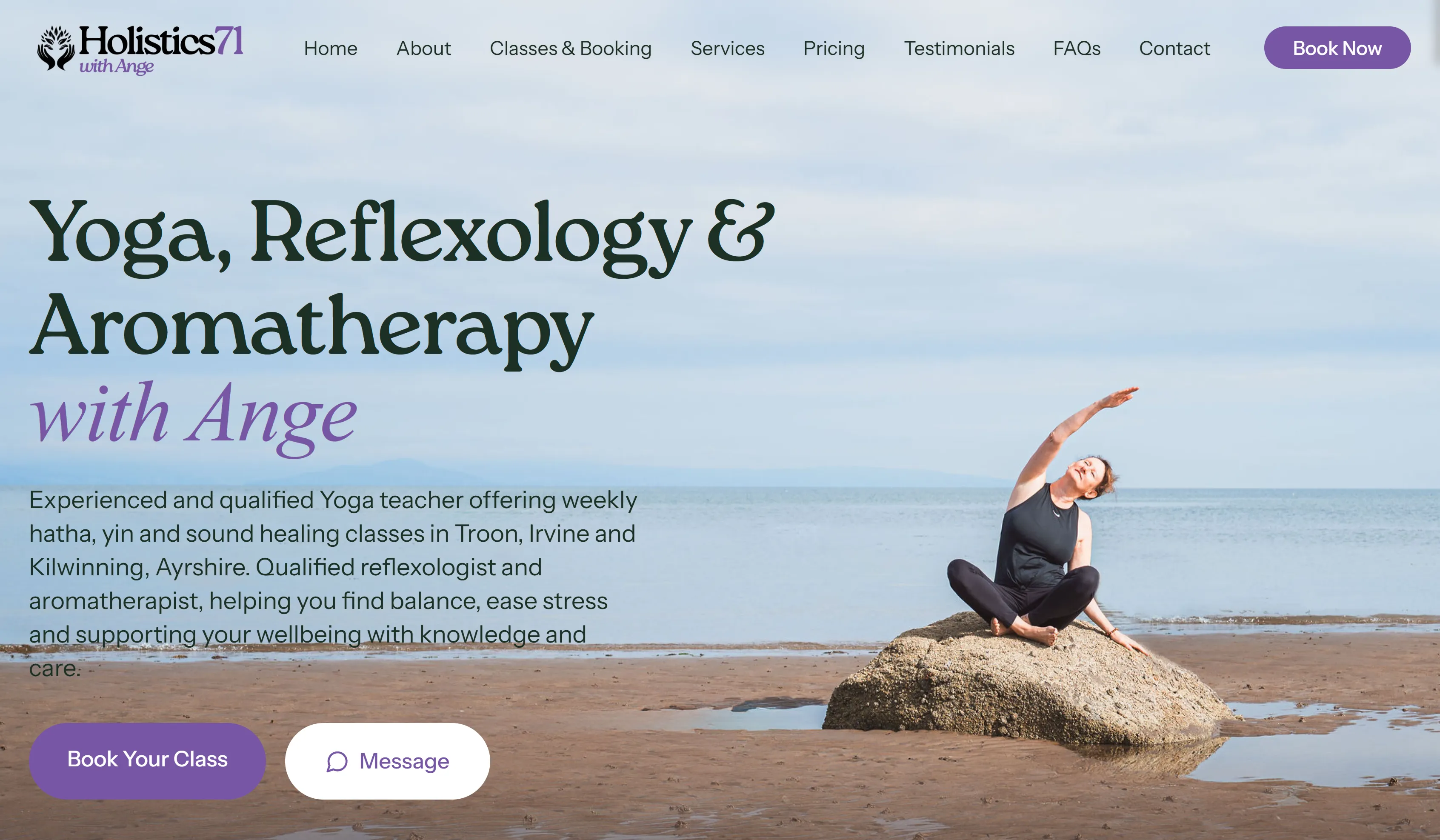 Holistics 71 Website